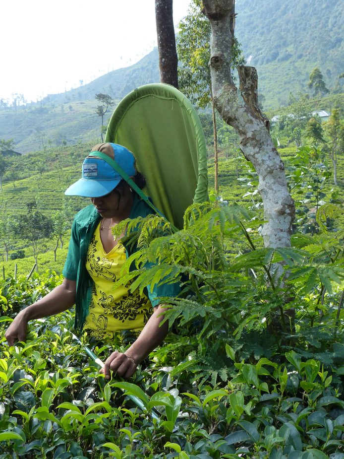 travel story sri lanka