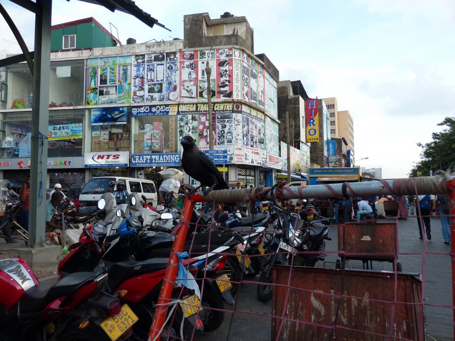 travel story sri lanka