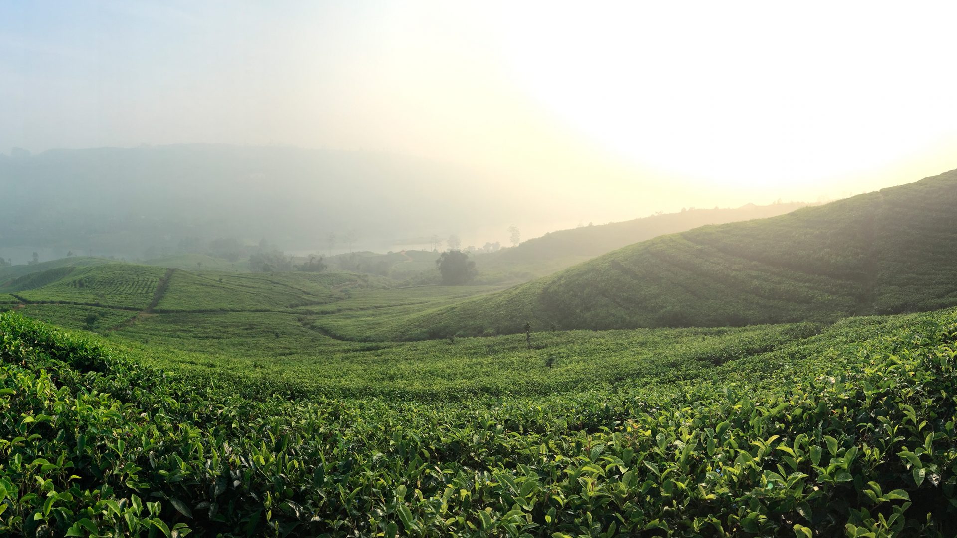 travel story sri lanka