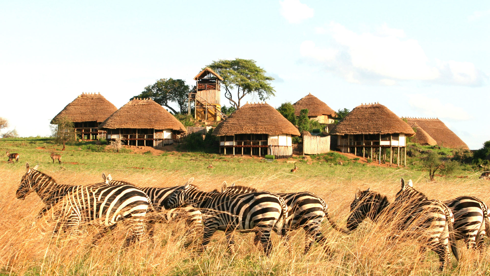 Apoka Safari Lodge