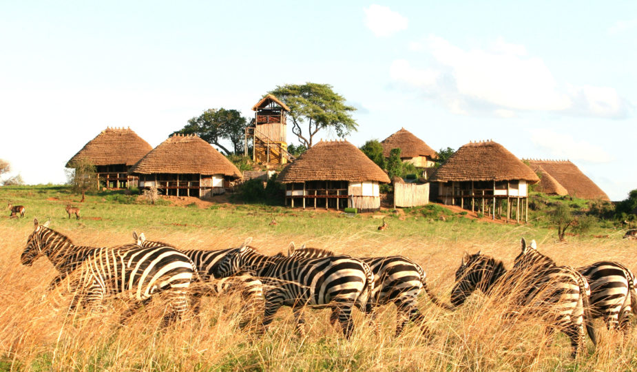 apoka safari lodge