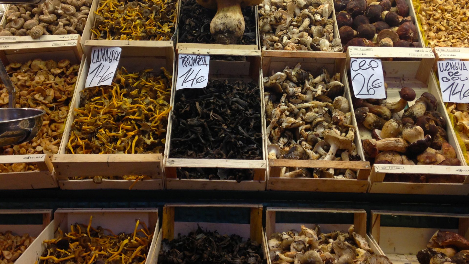 barcelona gourmet