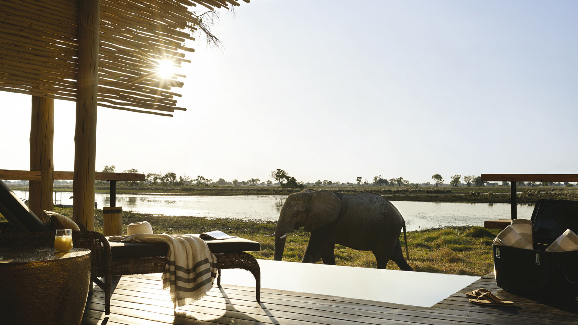 Eagle Island Lodge, A Belmond Safari, Botsuana