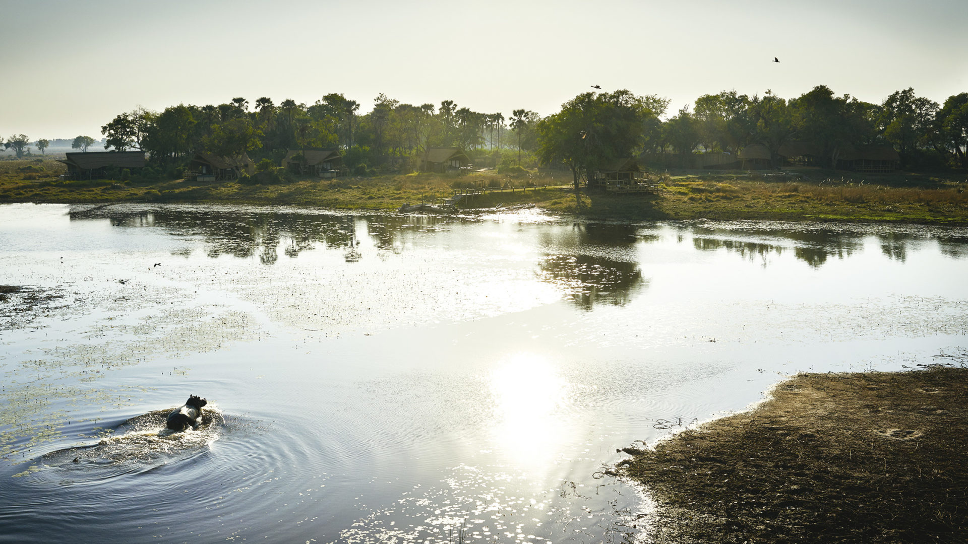 belmond eagle island lodge