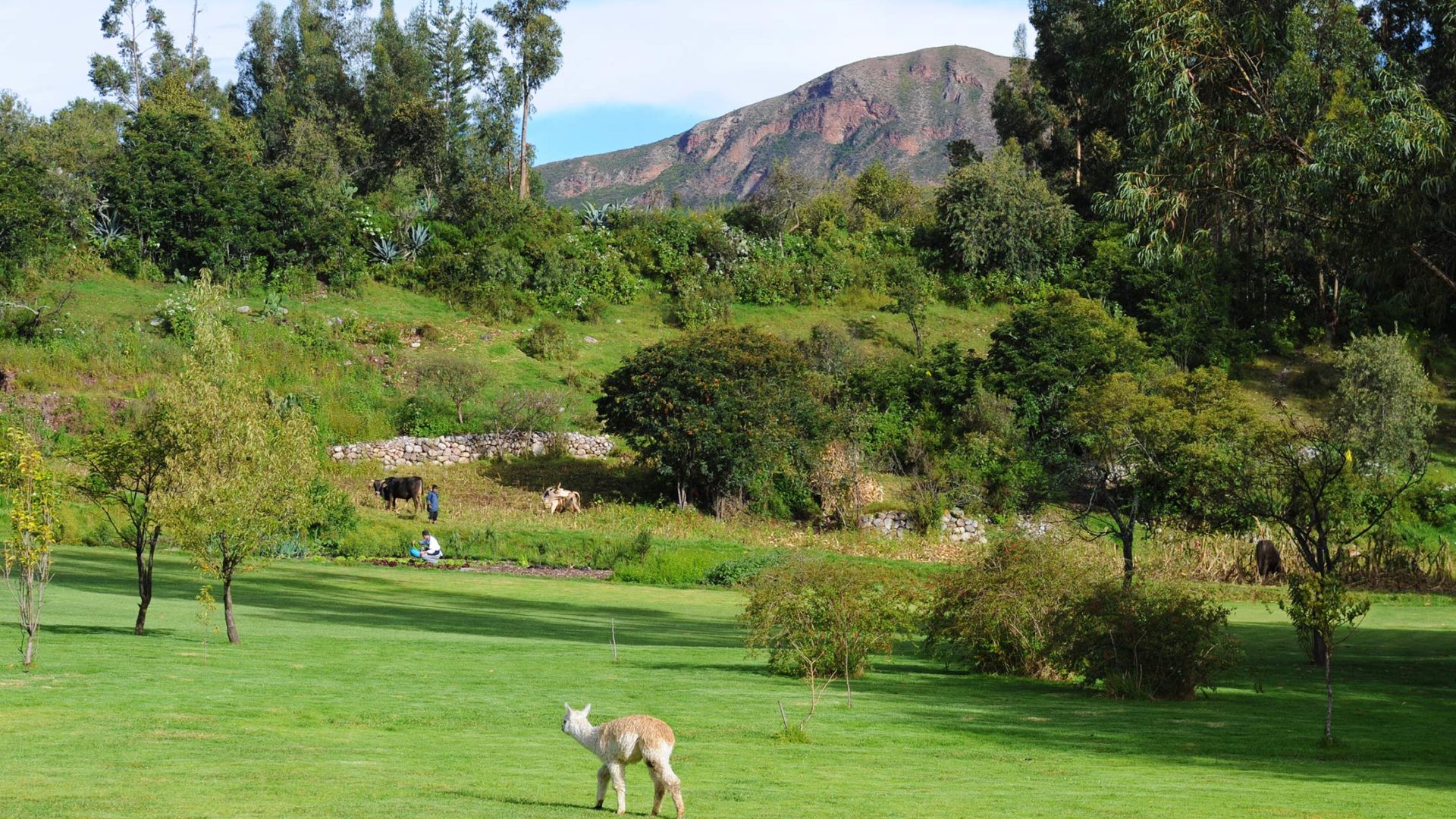 belmond hotel río sagrado