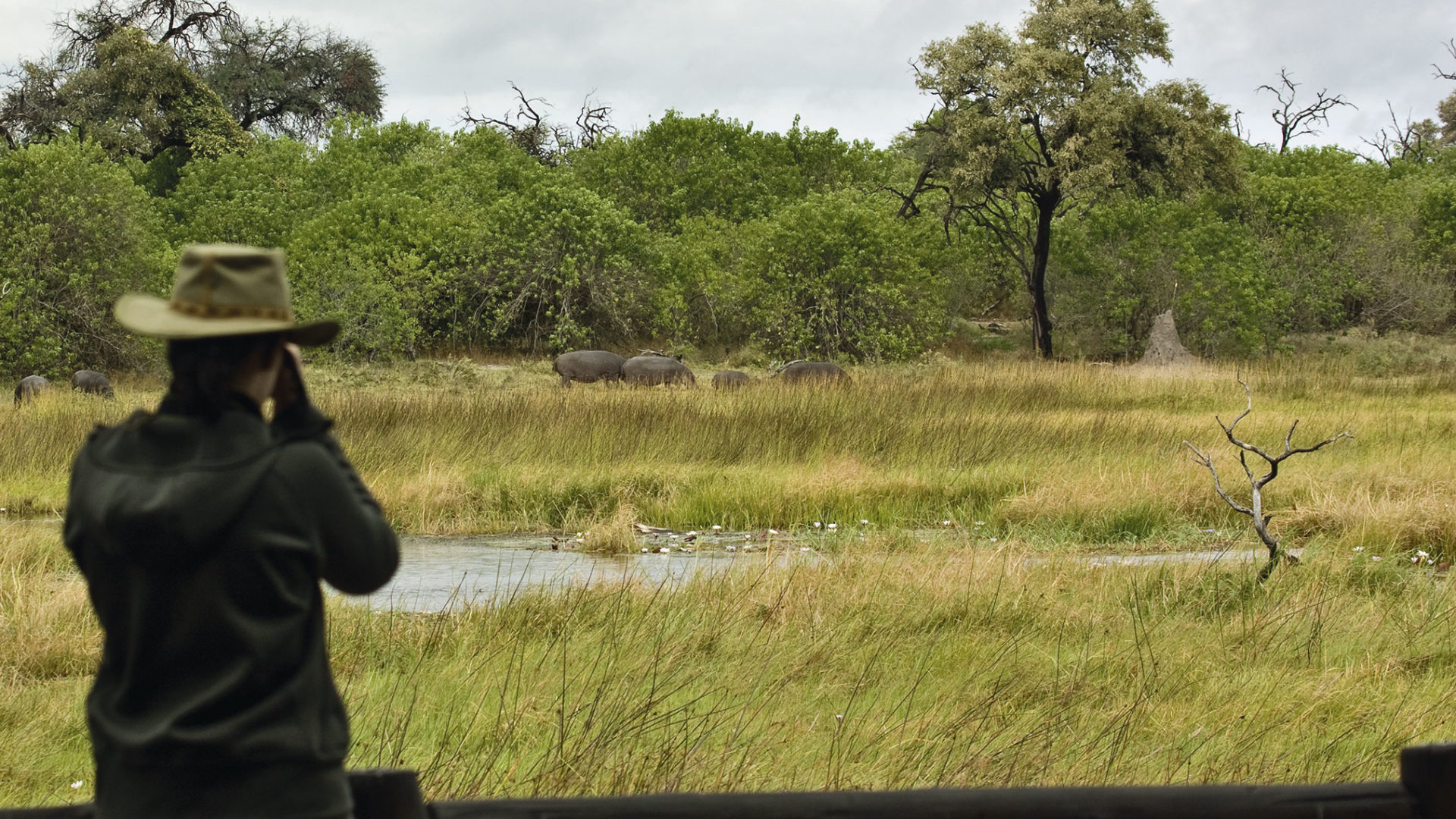 belmond khwai river lodge