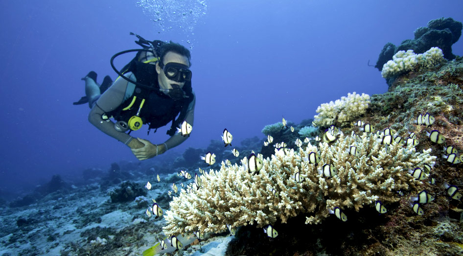 Villas privadas en Seychelles