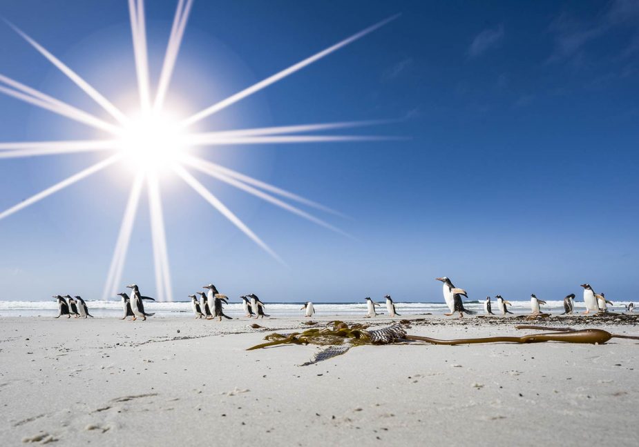 Bru & Bru agencia de viajes exclusivos - Oceanwide Expeditions, crucero en el Ártico y Antártida