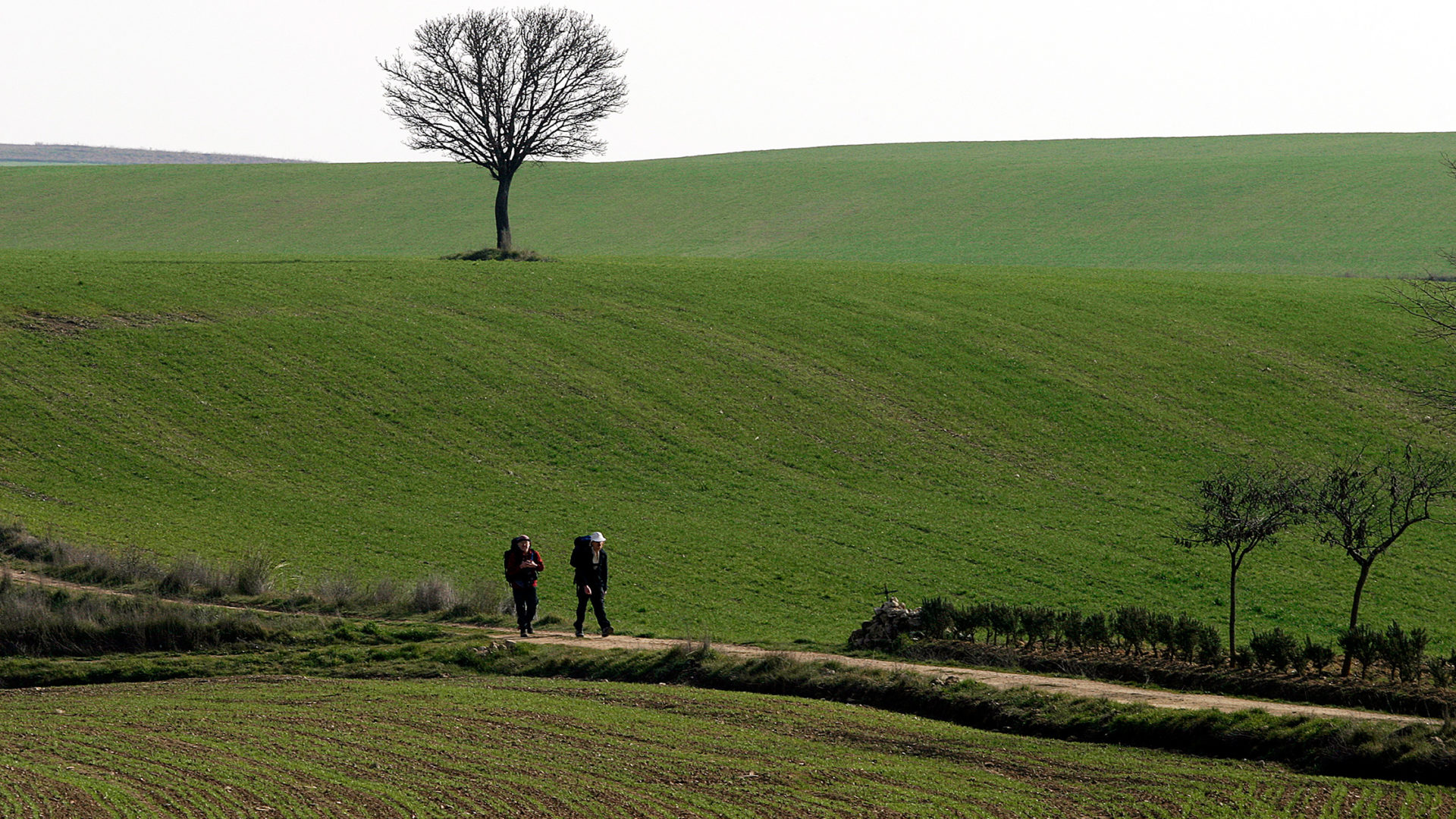 camino de santiago