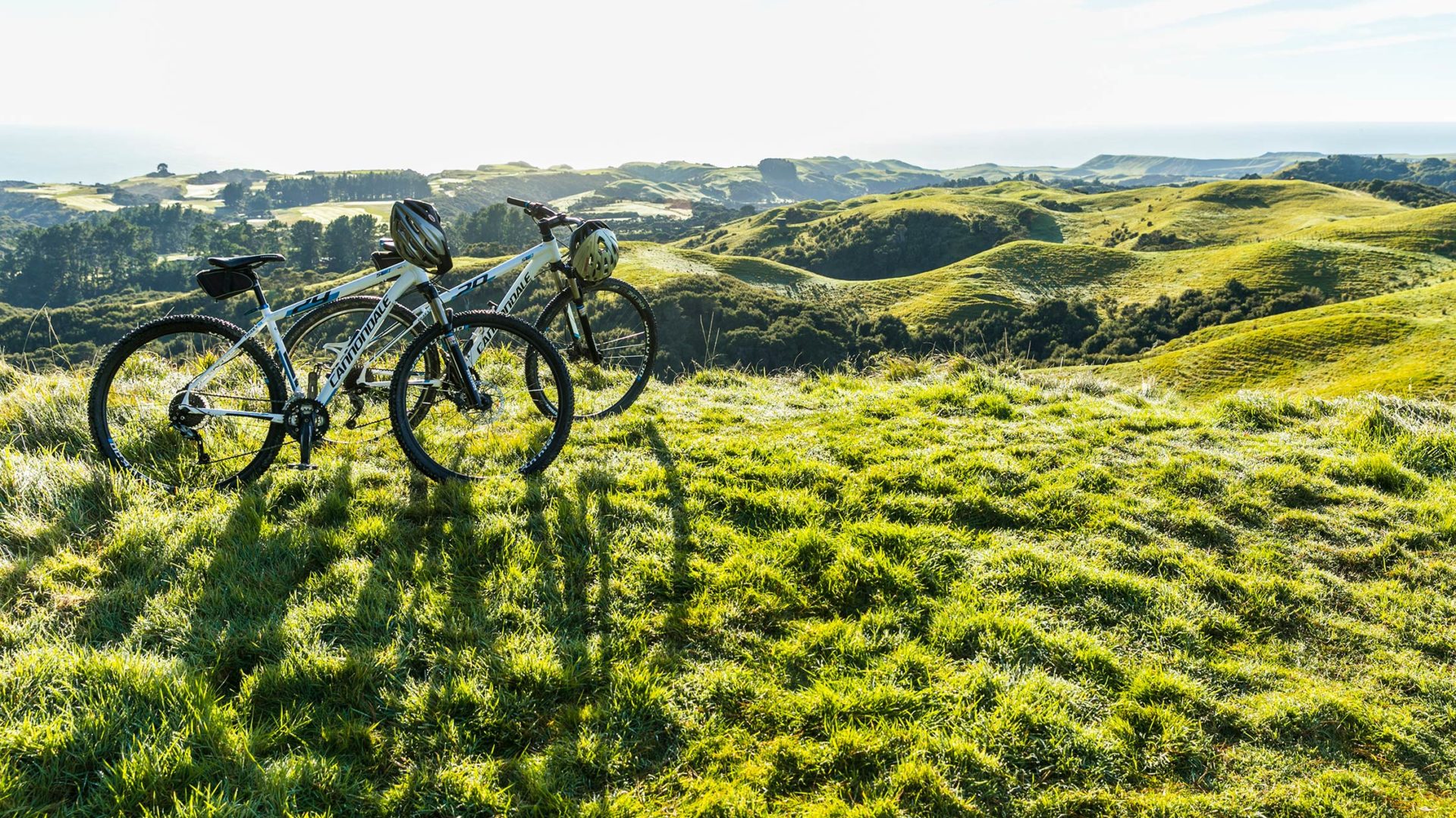 cape kidnappers