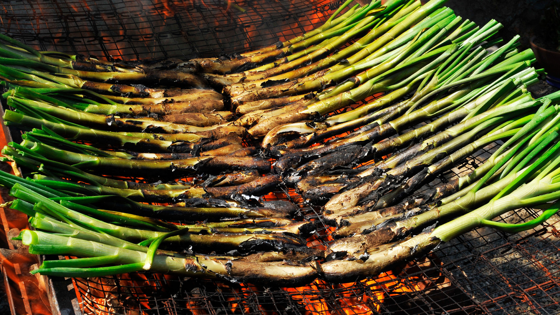 catalan traditions
