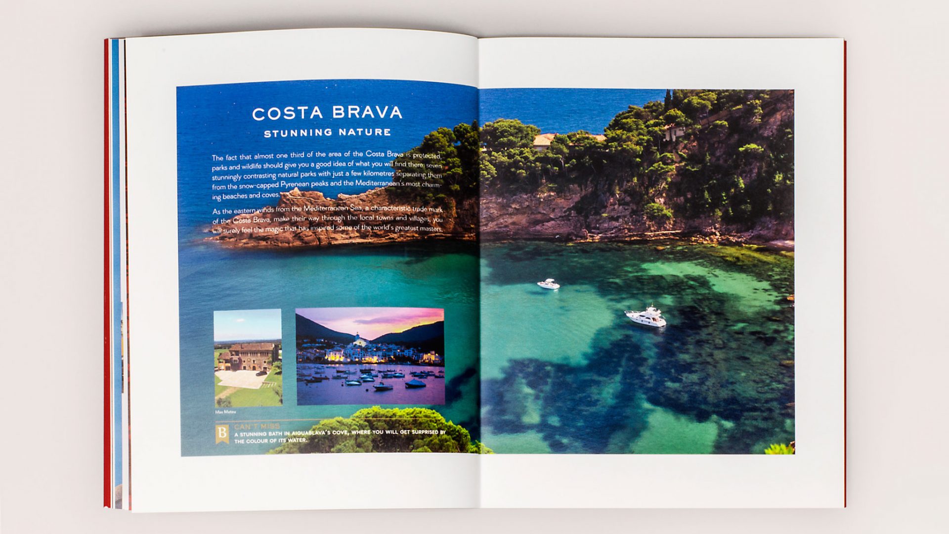 incoming travel book