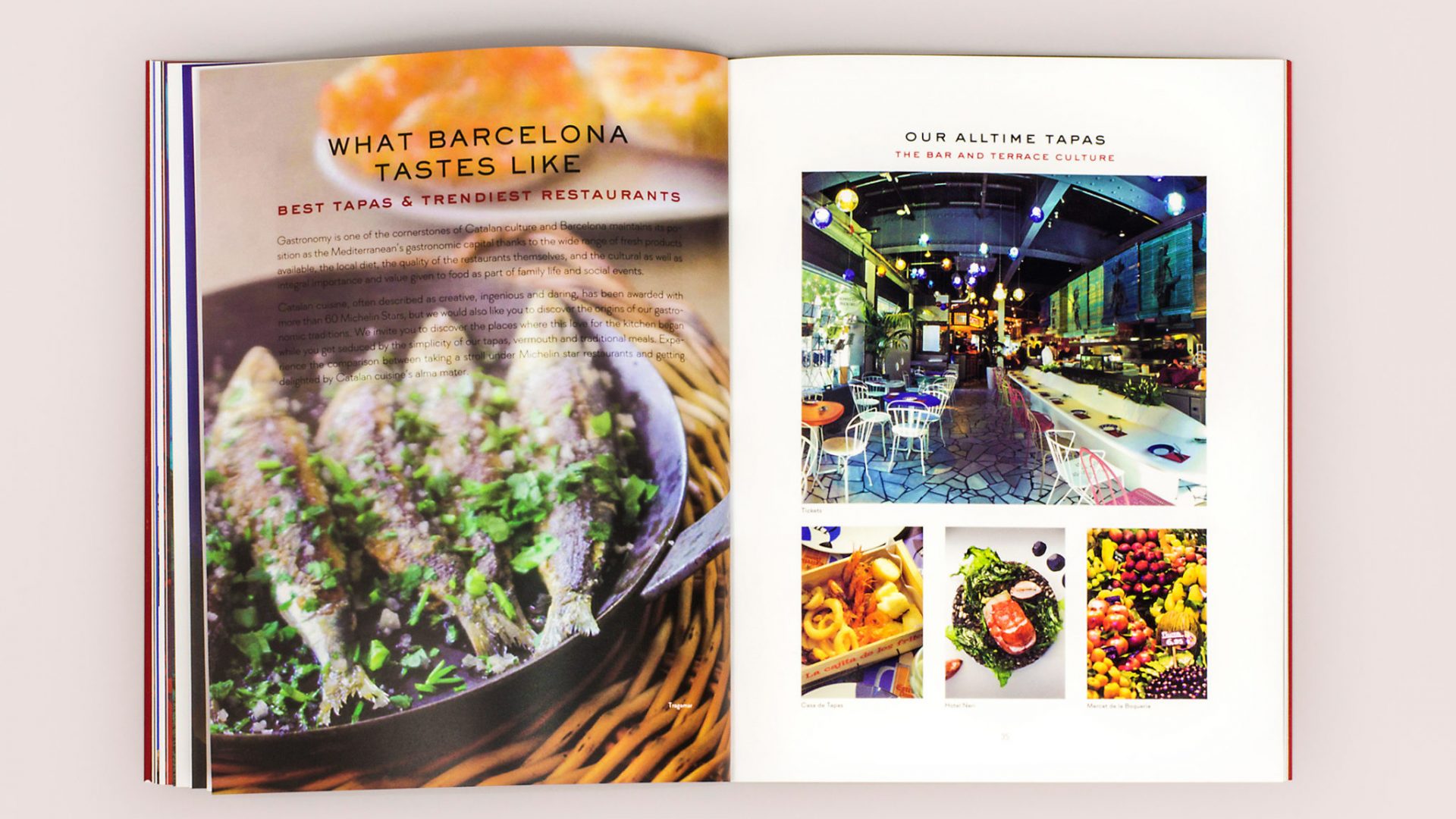 incoming travel book