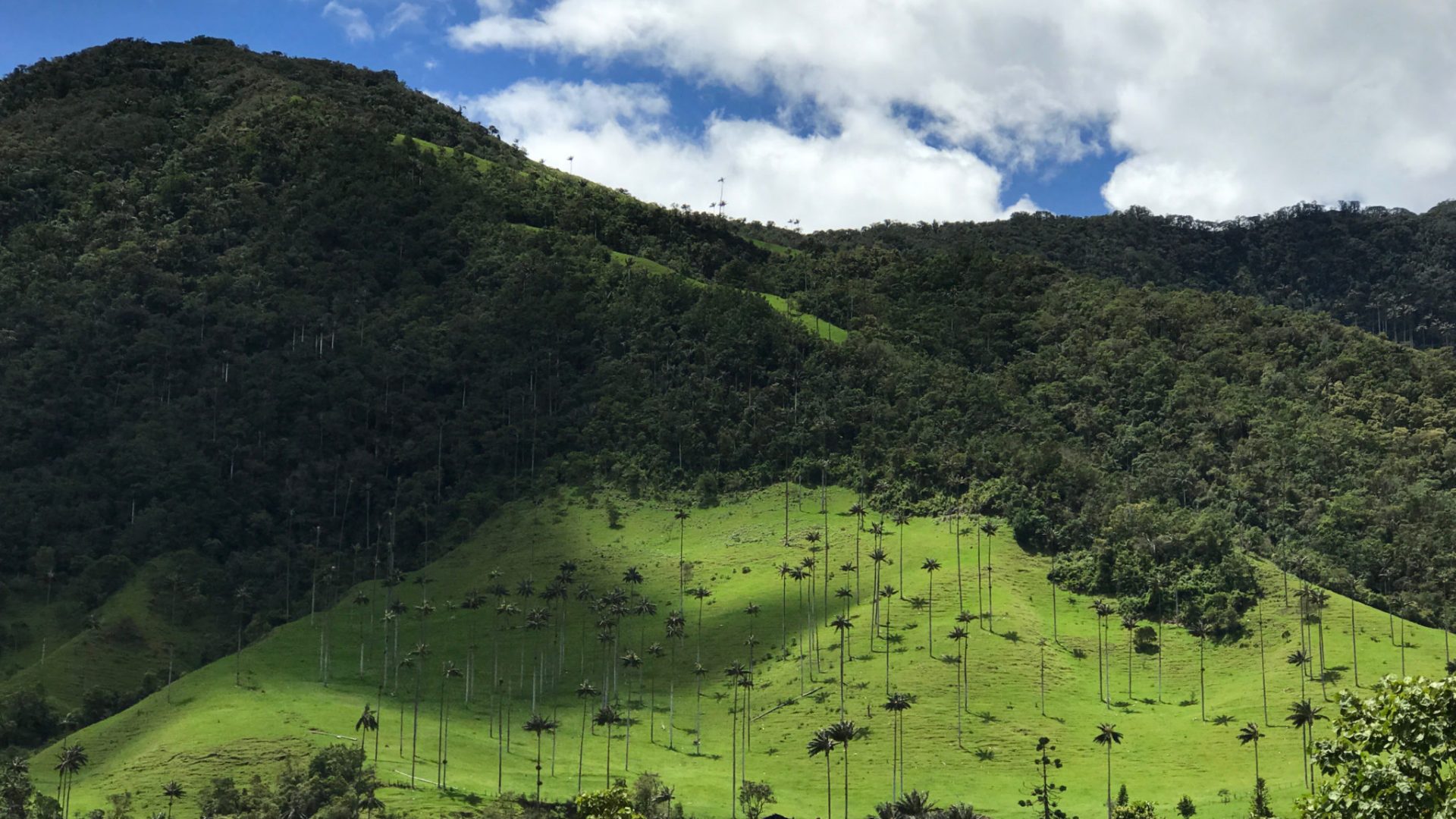 travel-story-colombia