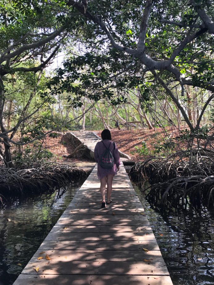 travel-story-colombia