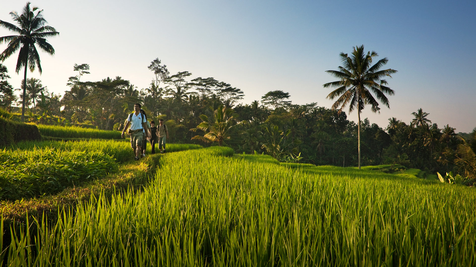 COMO Shambhala Estate