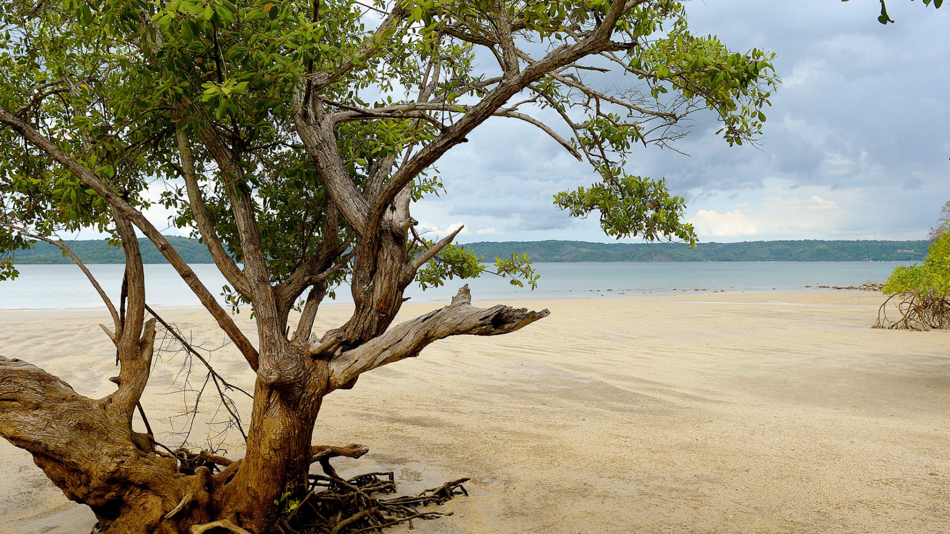 Costa Rica, a natural paradise