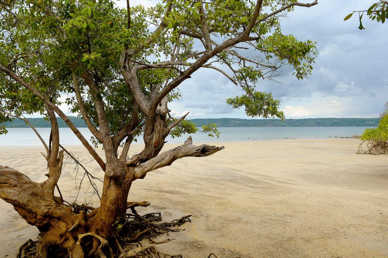 Costa Rica, a natural paradise