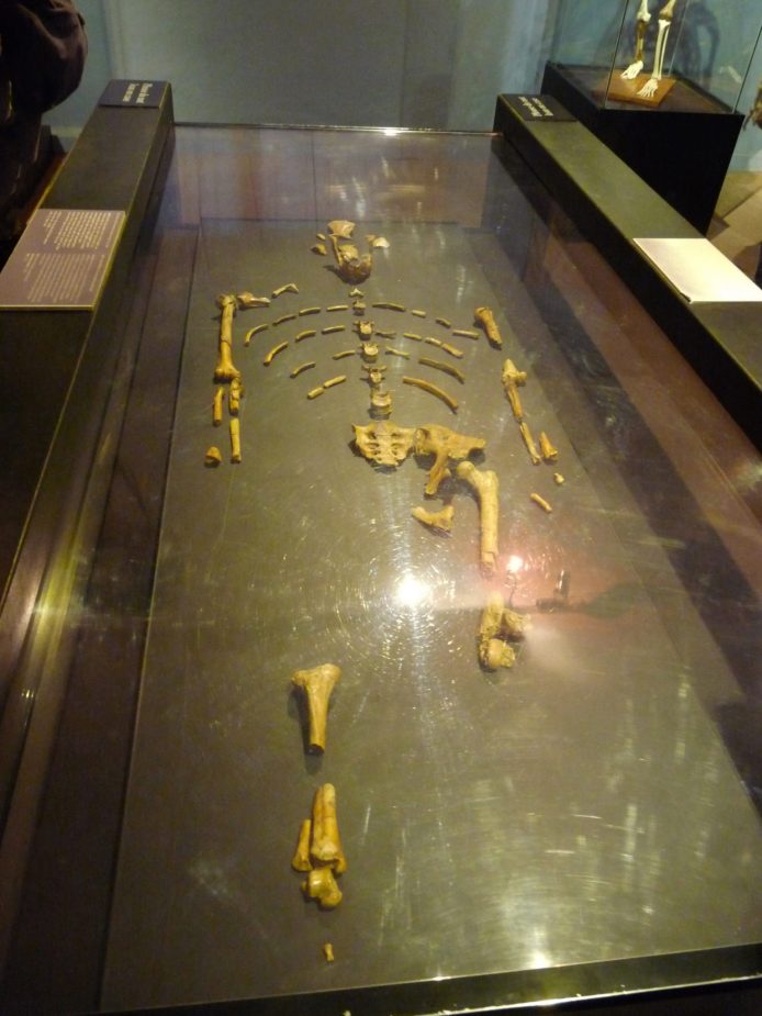 travel-story-etiopia