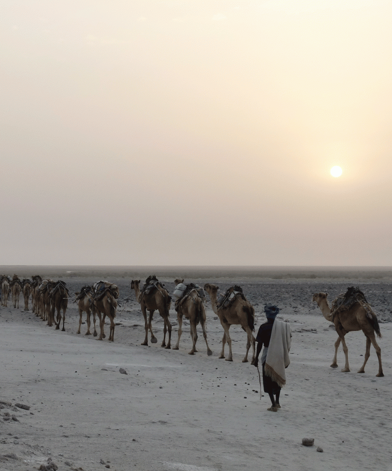 travel story etiopía