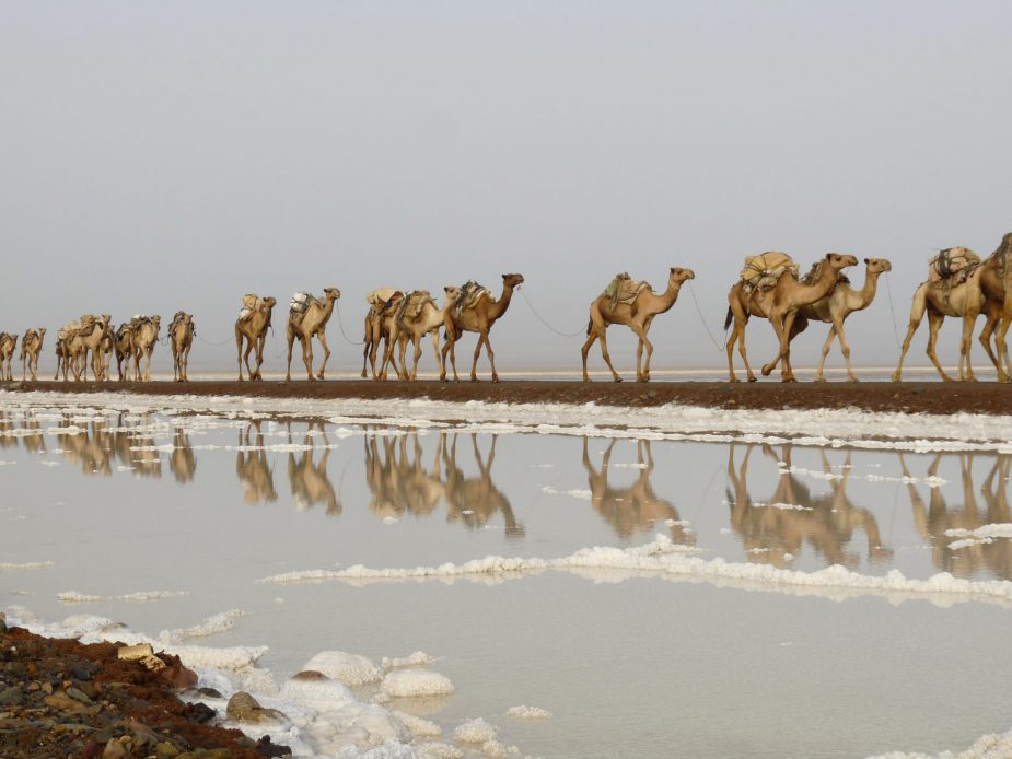 travel-story-etiopia