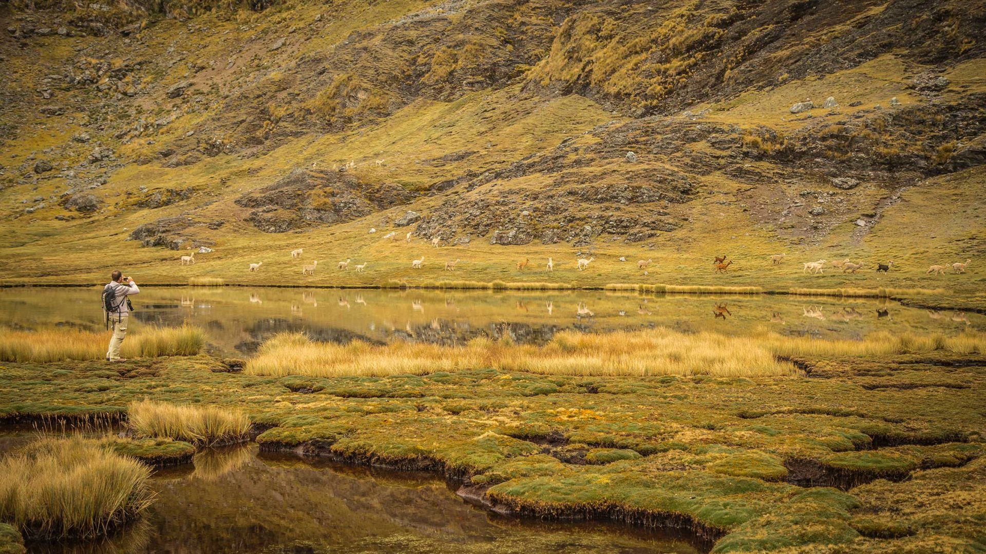 explora valle sagrado