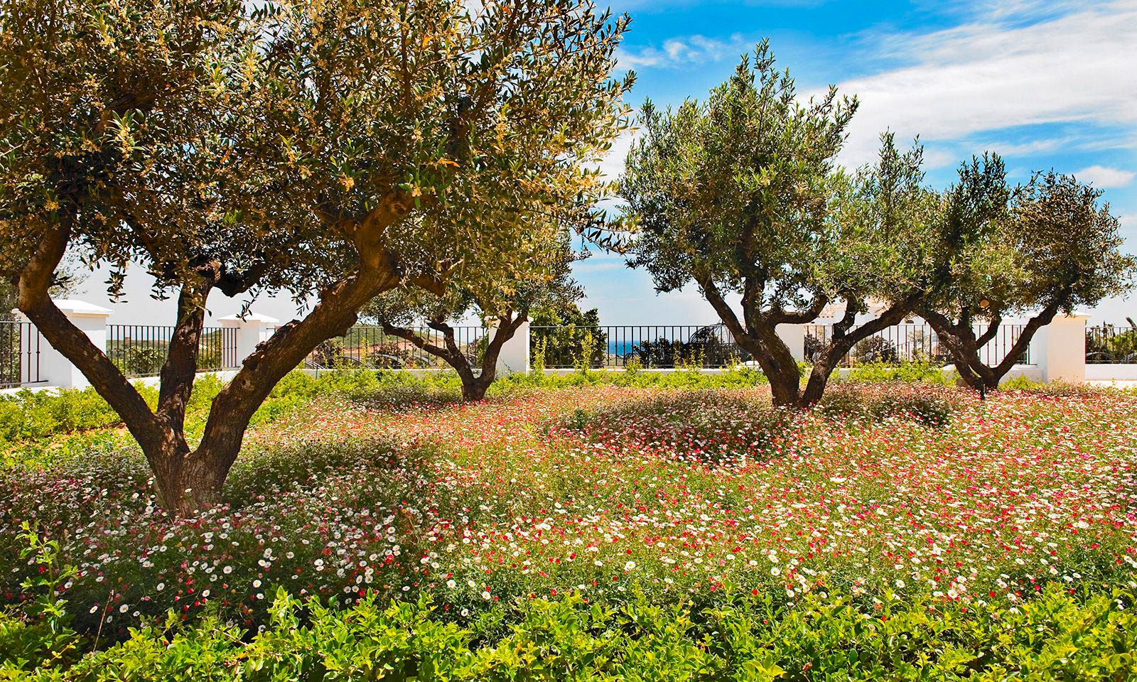 finca cortesín