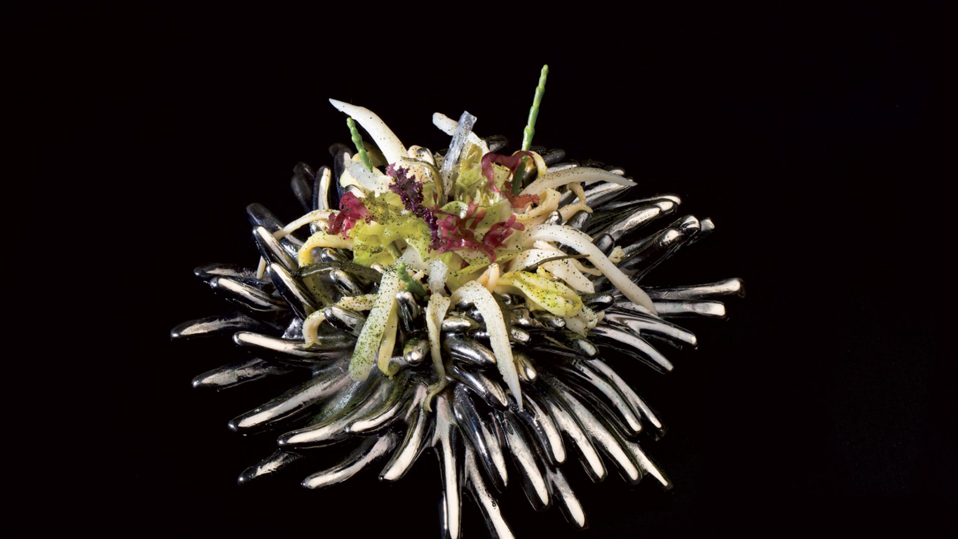 girona celler can roca