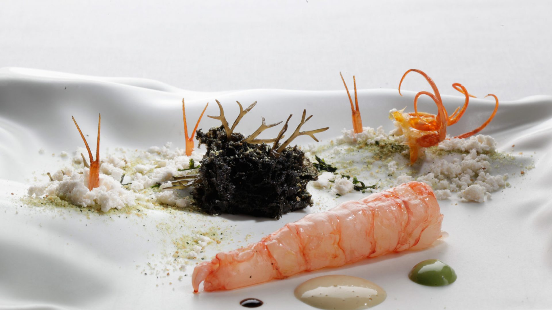 girona celler can roca