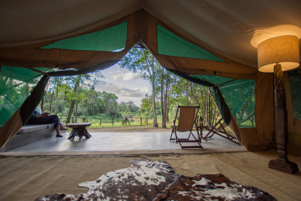 governors camp il moran