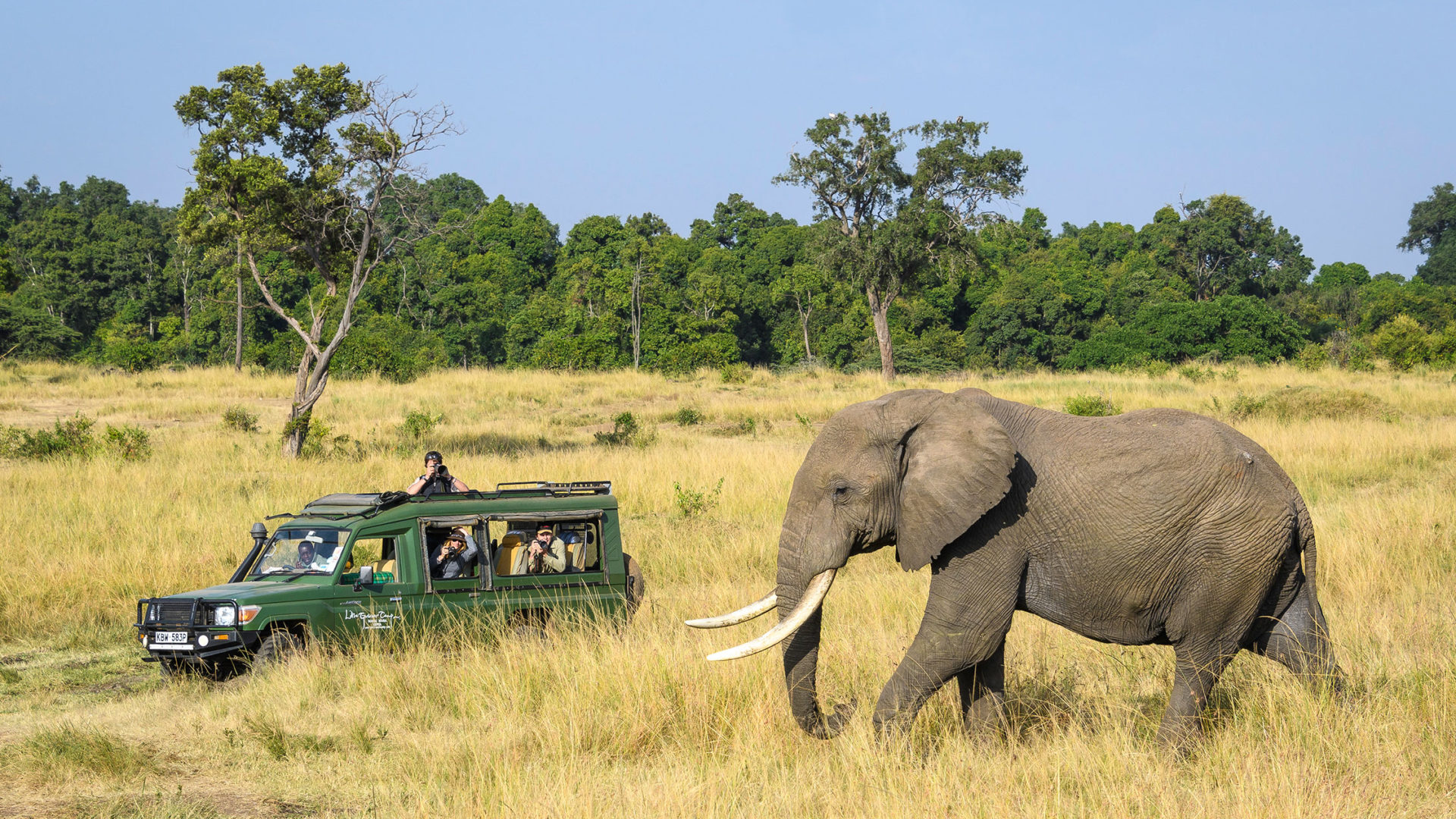 governors camp il moran