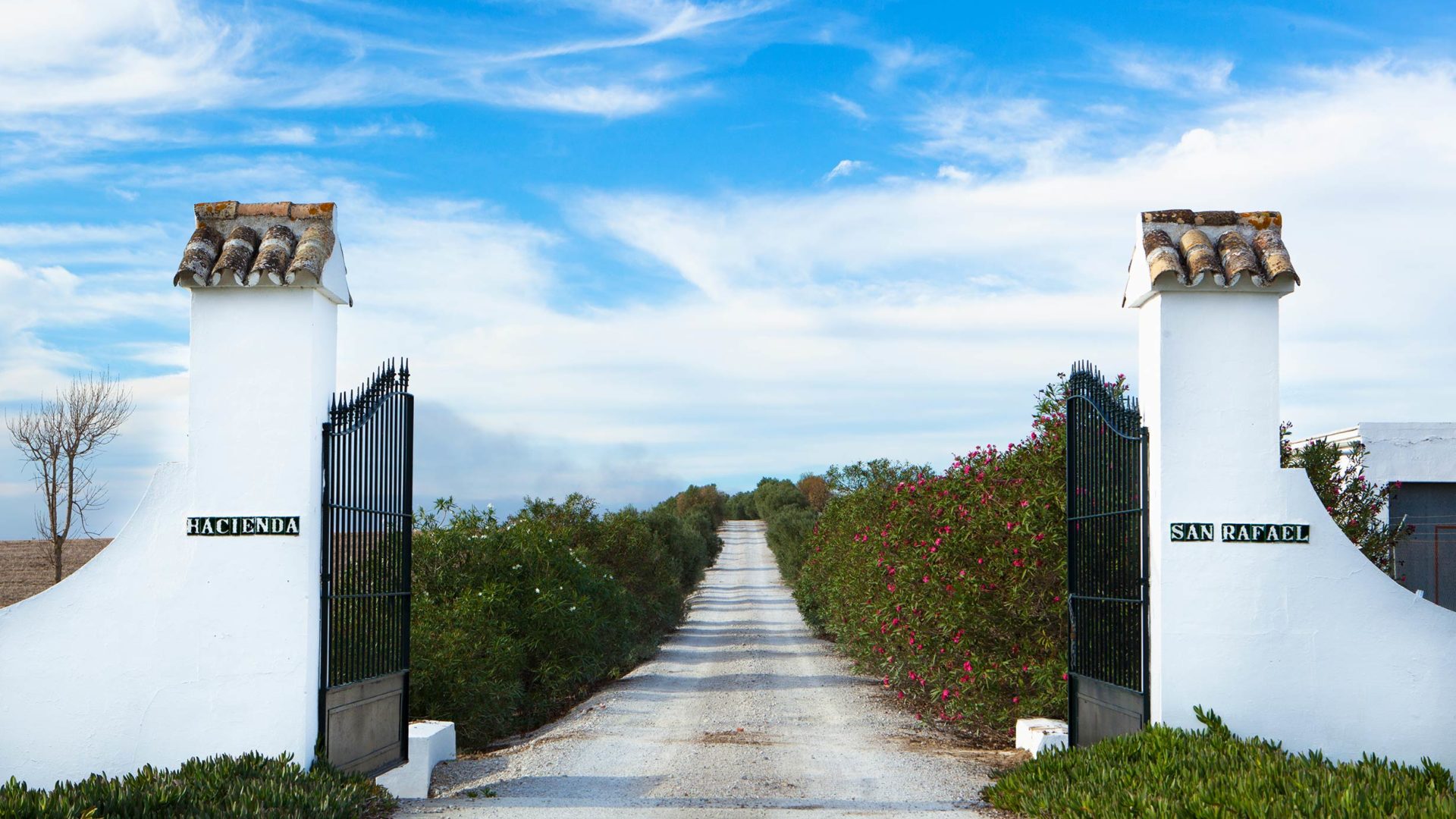 hacienda de san rafael