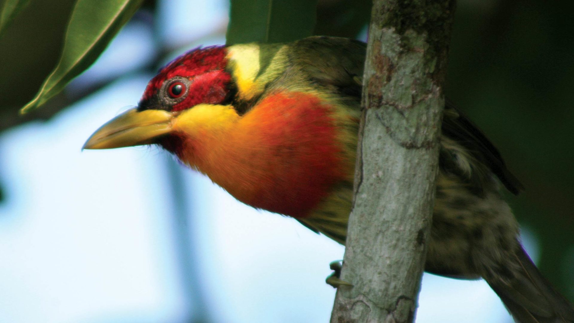 inkaterra reserva amazónica