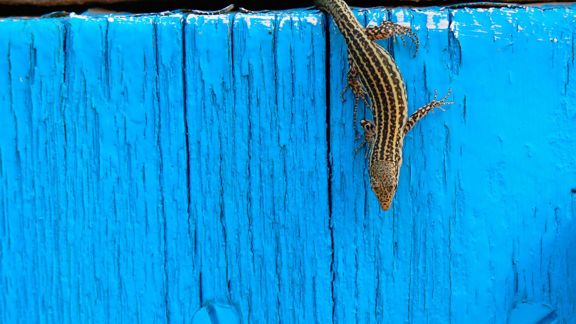 Islas Baleares: un oasis muy cercano