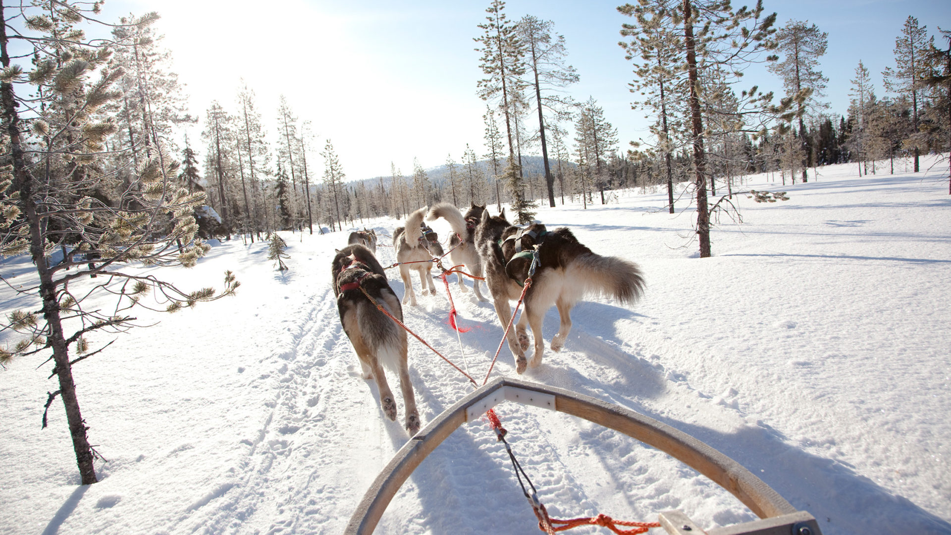 kakslauttanen arctic resort