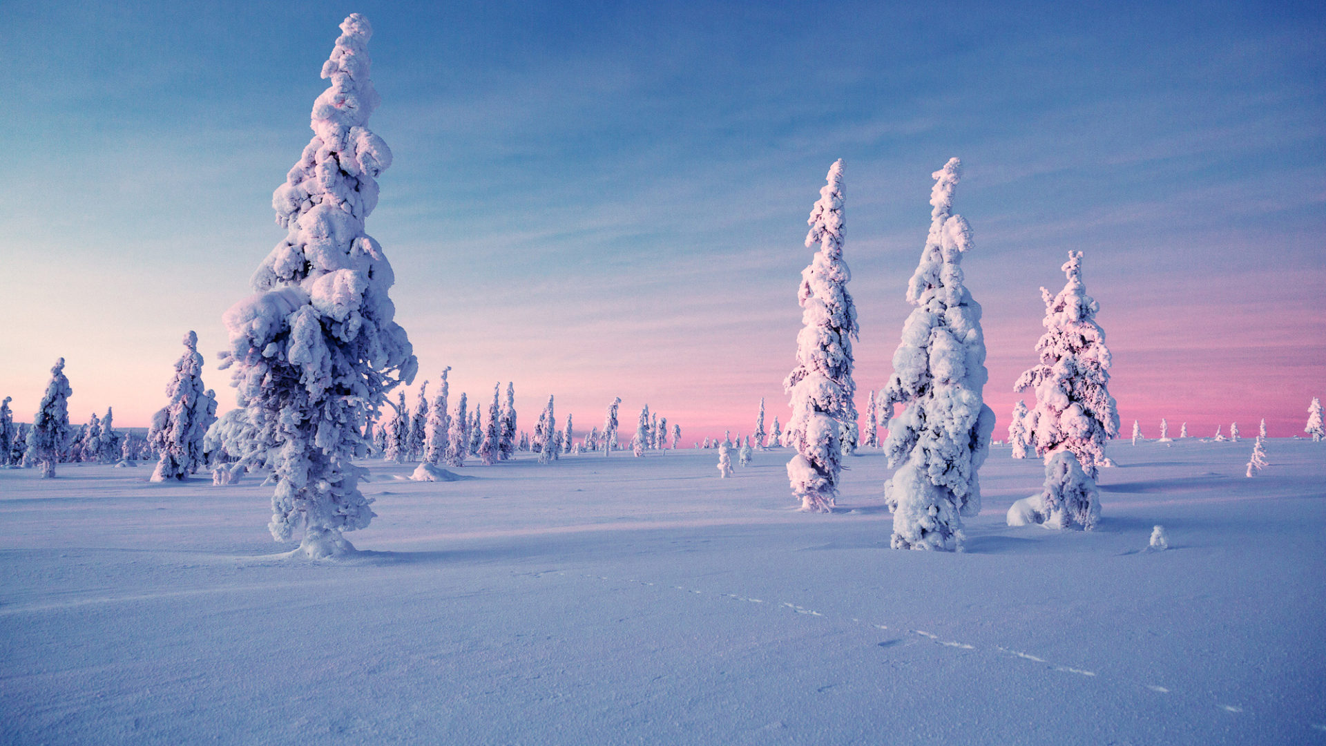 kakslauttanen arctic resort