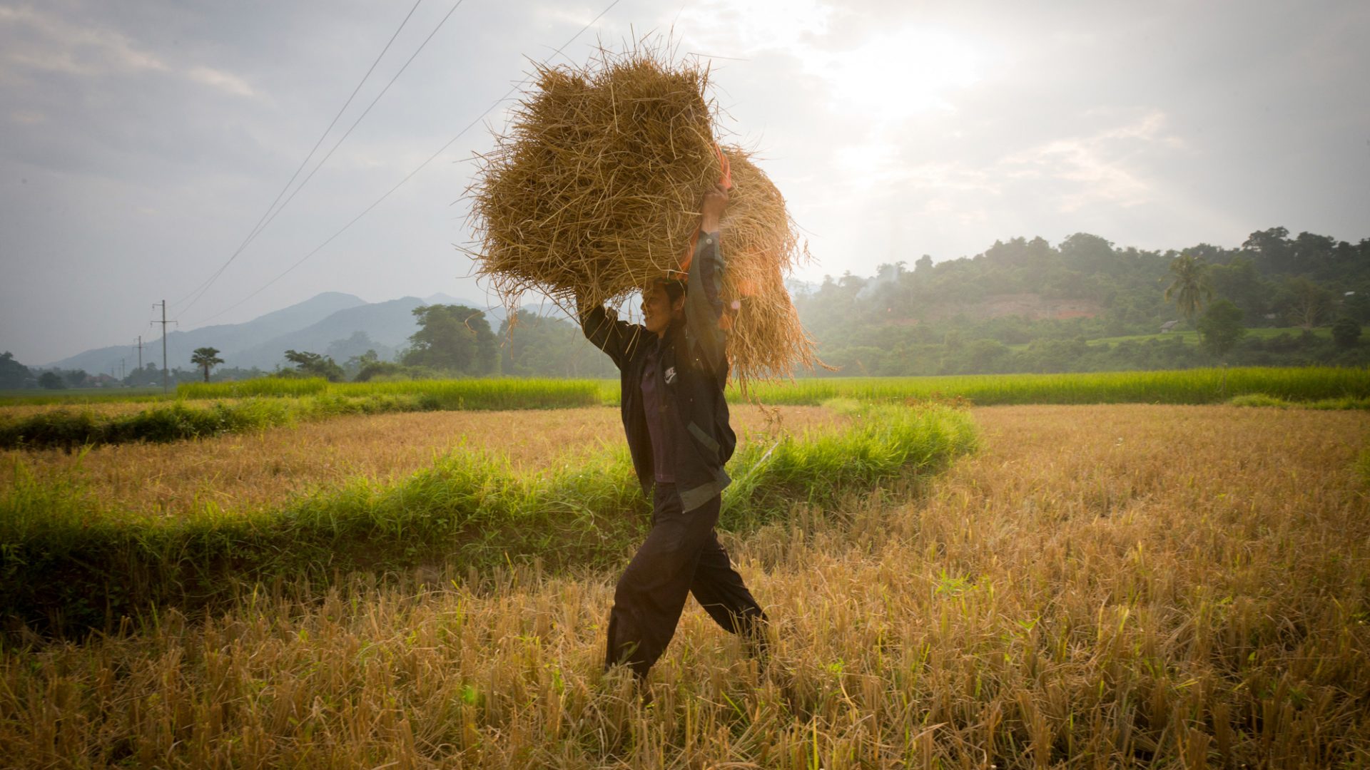 Discover Laos through its traditions