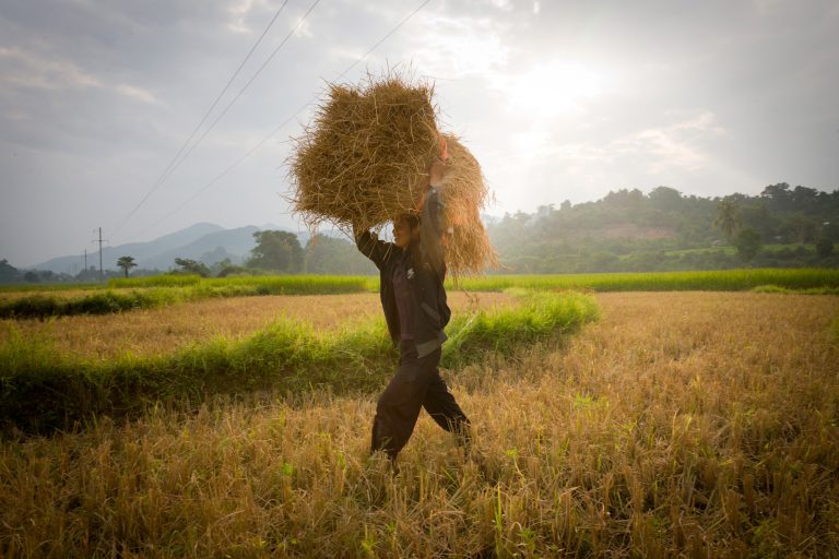 Discover Laos through its traditions