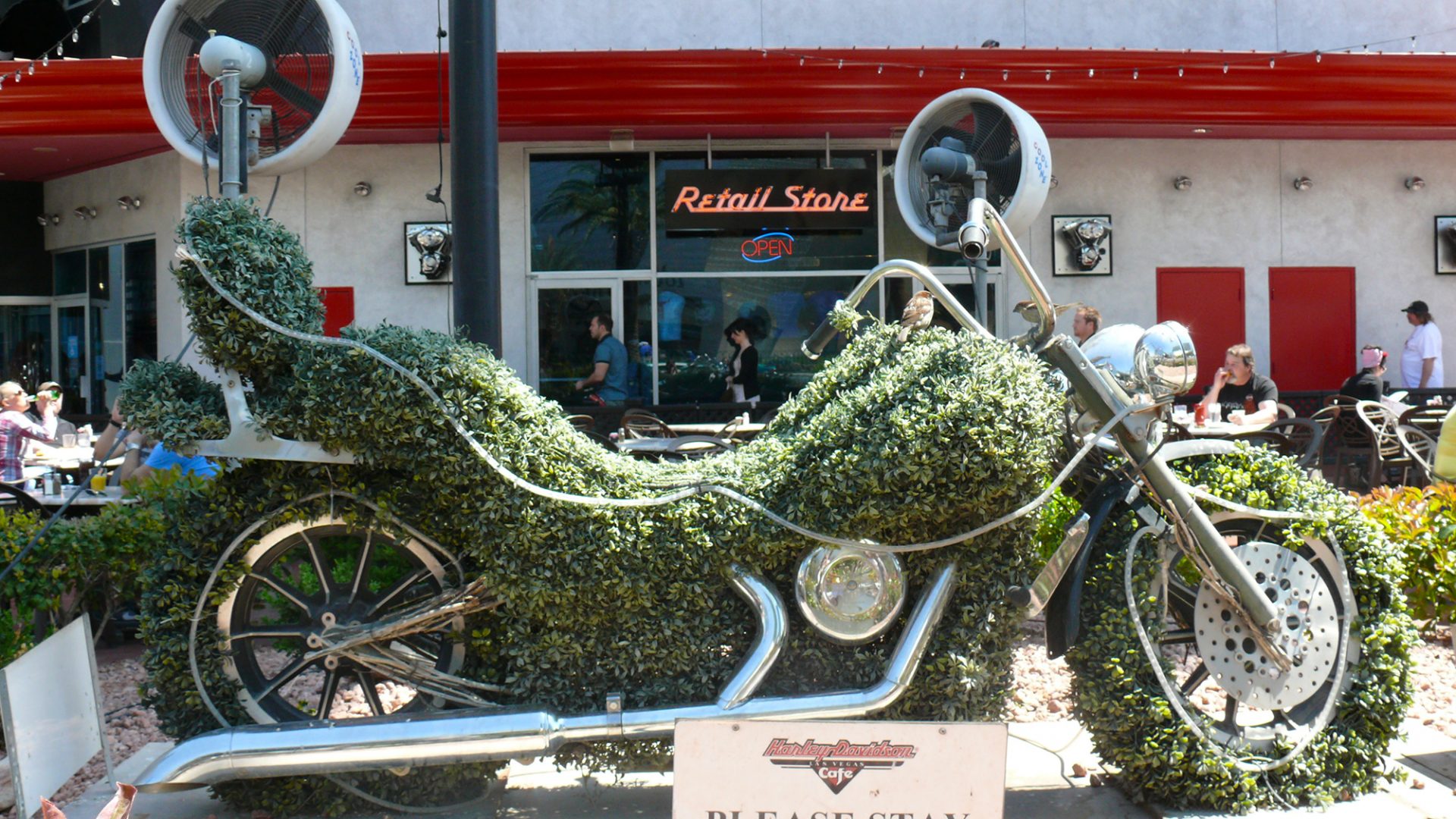 las vegas grand canyon