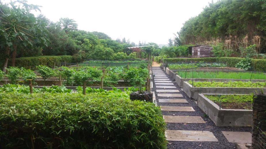 travel-story-mauricio