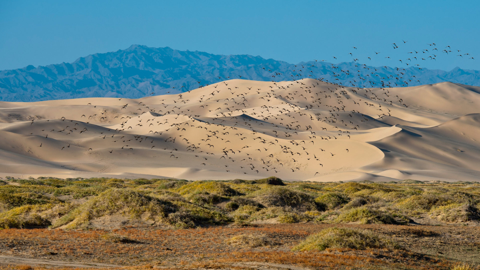 Paisajes pintorescos en Mongolia