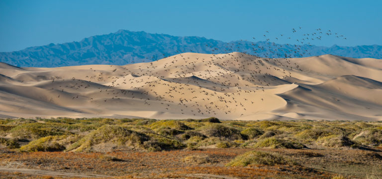 Picturesque landscapes in Mongolia