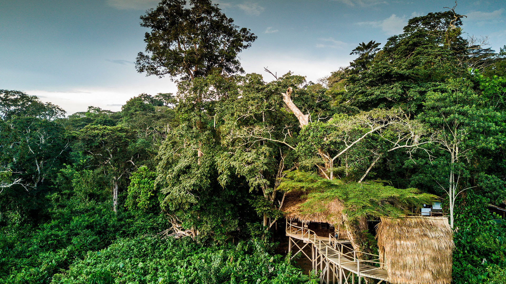Ngaga Camp