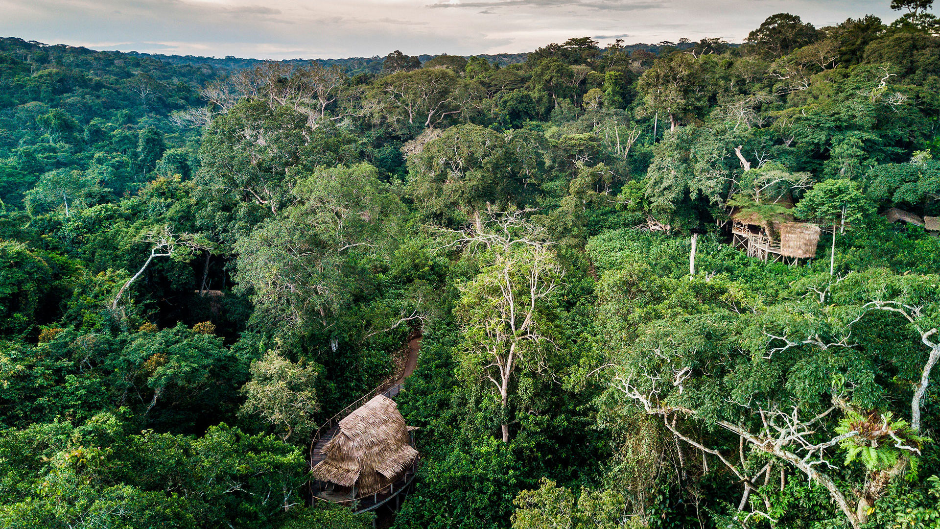 ngaga camp
