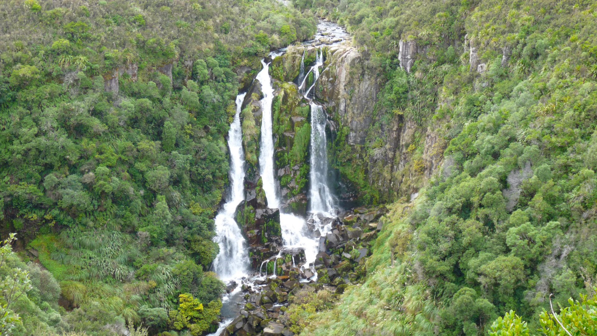 travel-story-nueva-zelanda
