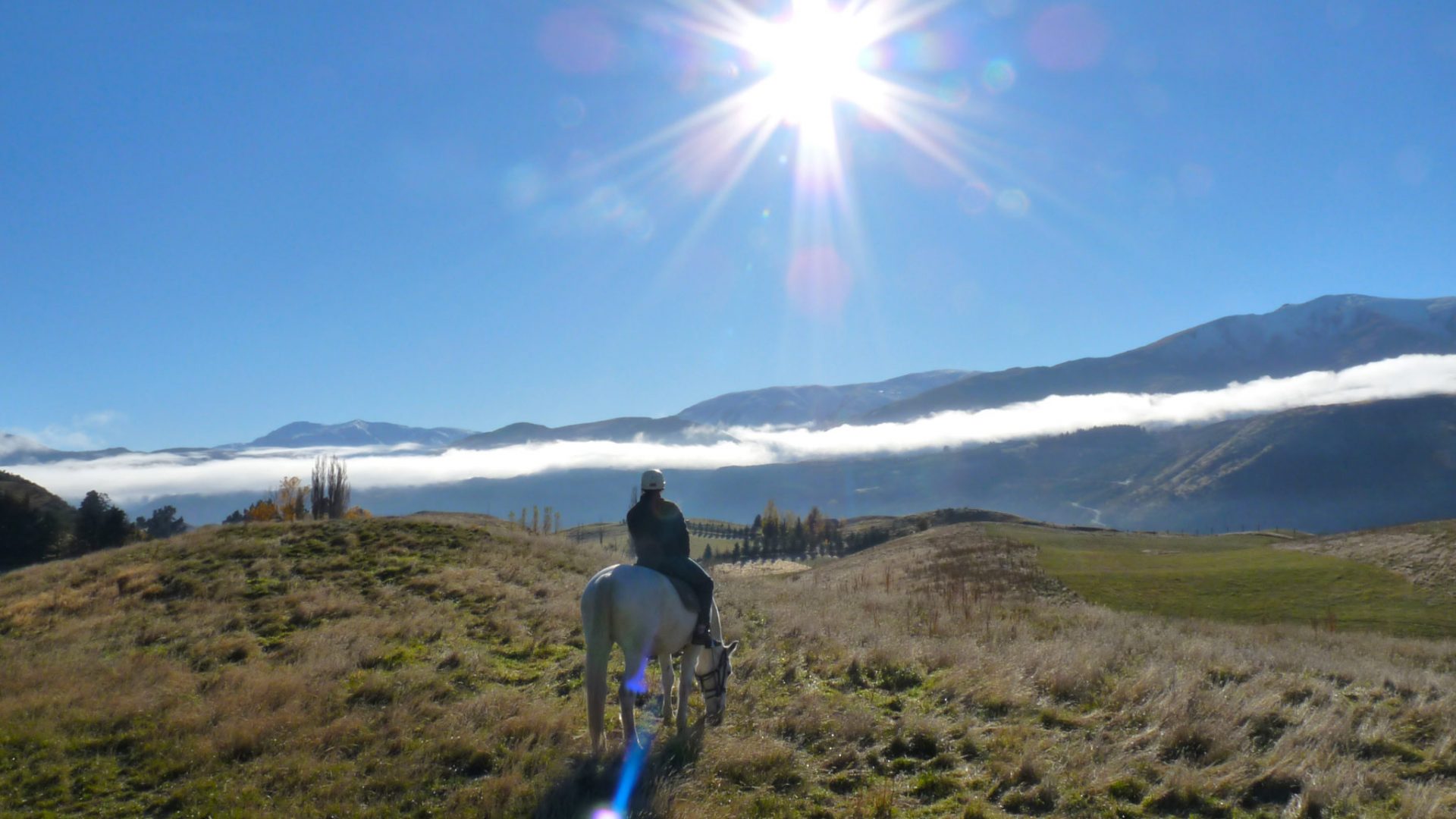 travel-story-nueva-zelanda