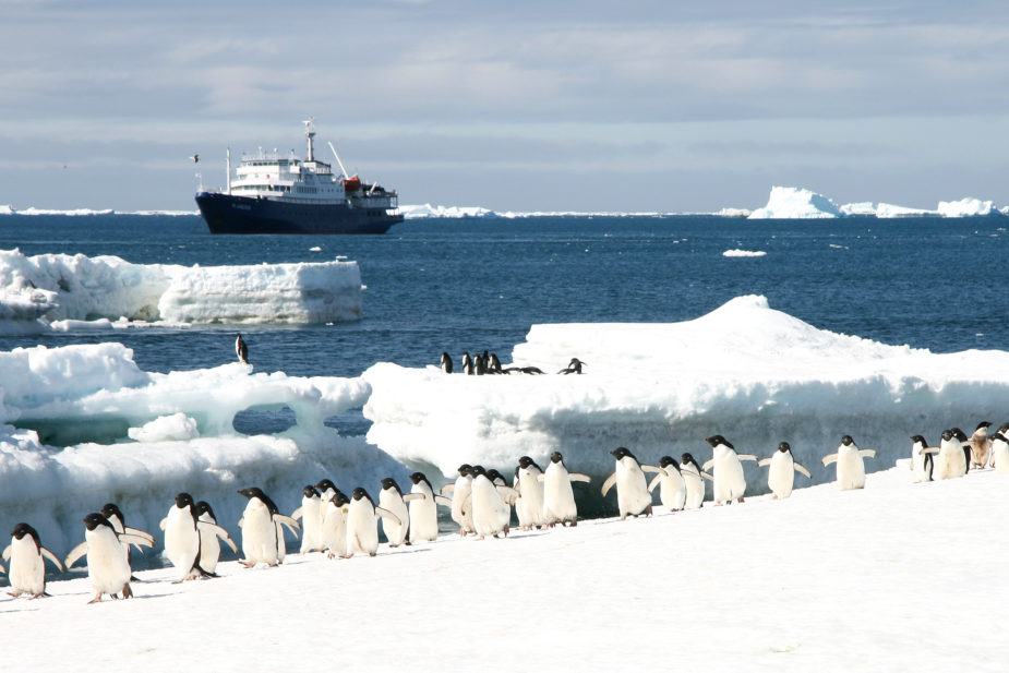 oceanwide expeditions