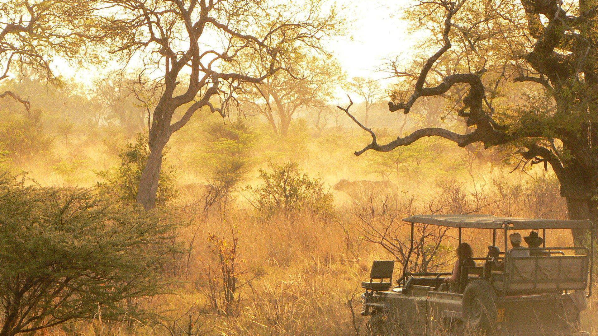 okavango horse safari