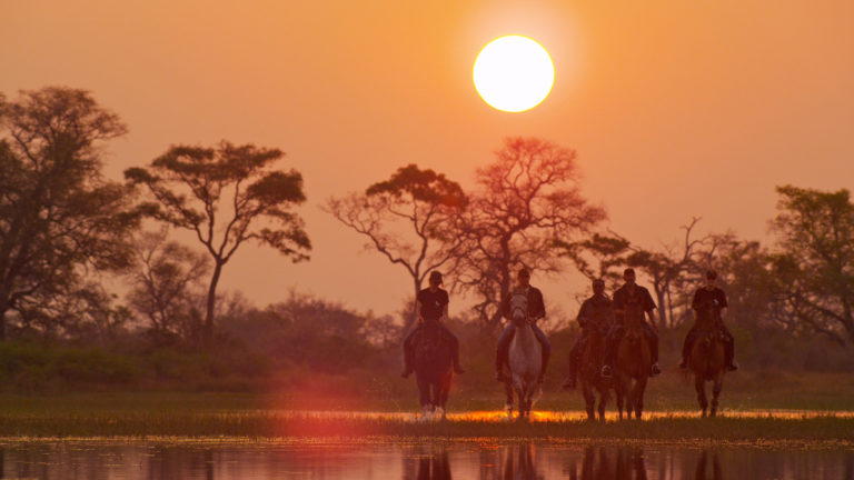 Okavango Horse Safari