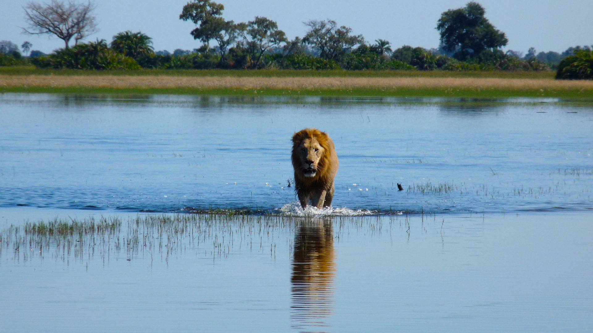 travel-story-okavango